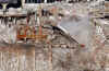 Click on the December 15, 2001 World Trade Center Ground Zero photo for a larger image.
