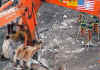 Click on the December 20, 2001 World Trade Center Ground Zero photo for a larger image.